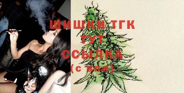 СК Няндома