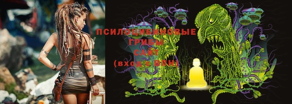 СК Няндома