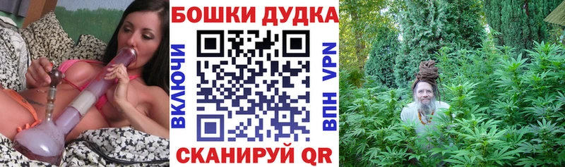 купить наркотики сайты  Козельск  Бошки Шишки план 